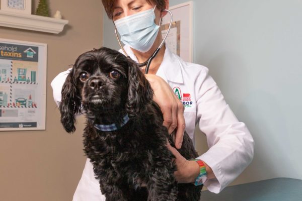 Dr. Juergens examining a patient